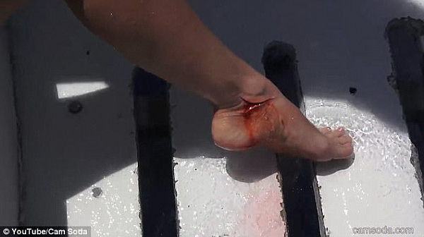 恐怖！AV女优在海中拍片惨遭鲨鱼攻击 海水瞬间被染红（视频） - 7