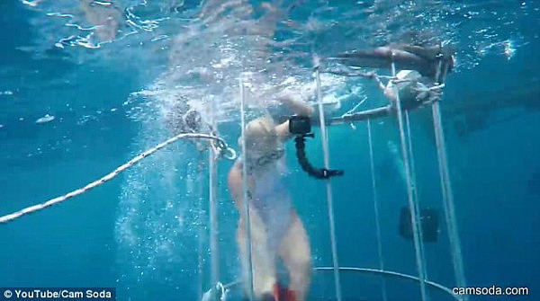 恐怖！AV女优在海中拍片惨遭鲨鱼攻击 海水瞬间被染红（视频） - 5