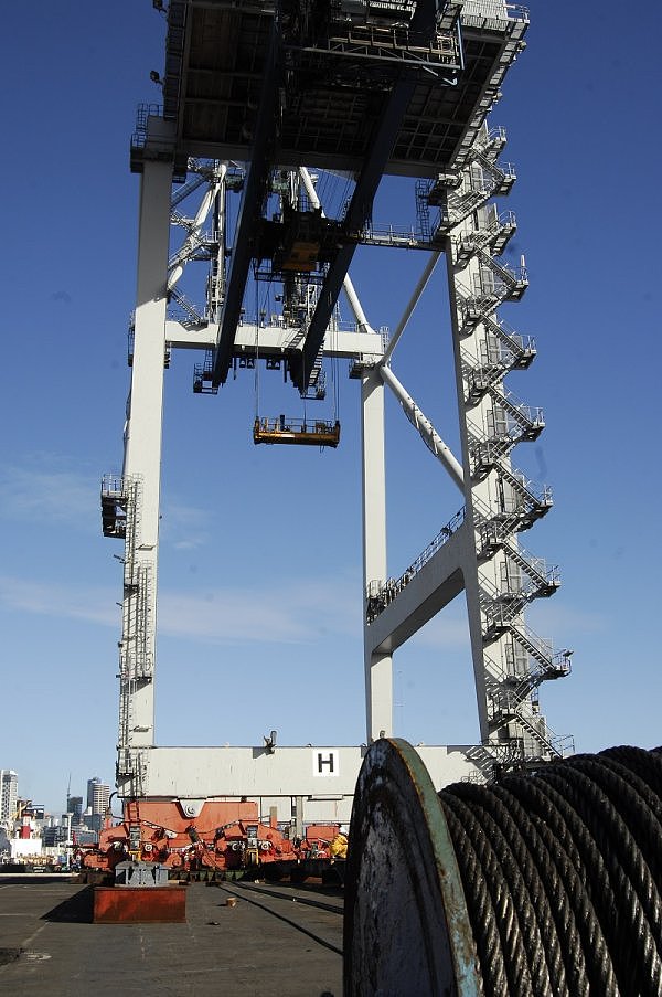 crane-vertical.jpg,0