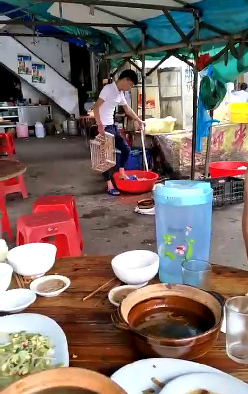 太开胃！顾客在旁吃饭 大排档店员用脚洗菜（组图） - 2