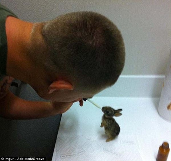 40E1187400000578-4549438-A_soldier_rescued_a_baby_bunny_and_then_raised_him_dedicating_ho-m-102_1495965065976.jpg,0