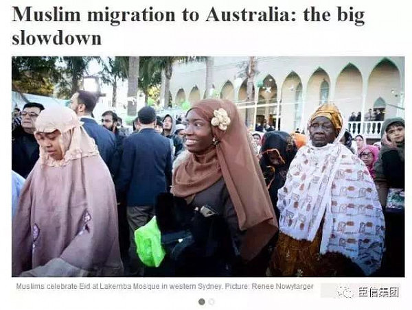 澳洲最权威媒体集体发声：澳洲更欢迎中国移民！将限制穆斯林群体！ - 3