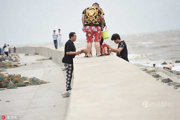 真的拼了!游客冒大风浪在天津港海边抢挖生蚝（组图） - 10