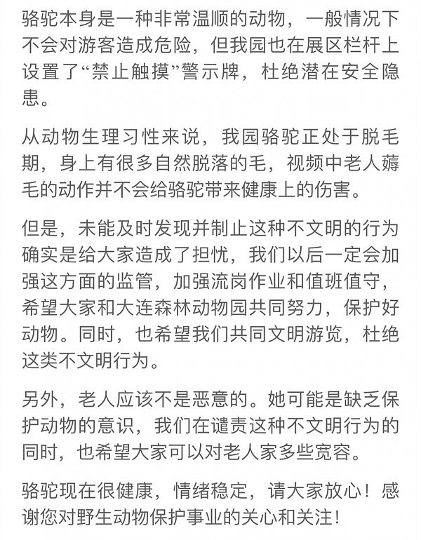 大妈在动物园里一把把薅！骆！驼！毛！…骆驼快成葛优了（视频） - 8