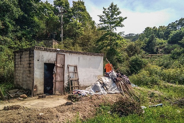 老人为情所困50年不回家 荒野搭小屋（组图） - 3