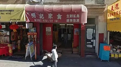 放了那些小鸡鸡！！！唐人街华人店家被围攻 动物保护主义者痛哭流涕“解救”6只鸡后被捕 - 2