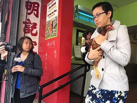 放了那些小鸡鸡！！！唐人街华人店家被围攻 动物保护主义者痛哭流涕“解救”6只鸡后被捕 - 9