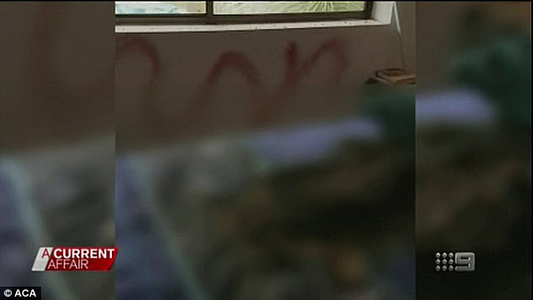 土澳“教父”？澳夫妇床上被扔袋鼠尸体 墙上画纳粹涂鸦！只因和邻居起冲突！（视频） - 6