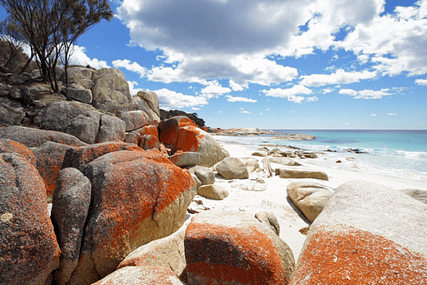Bay of Fires Winter Arts Festival.png,0