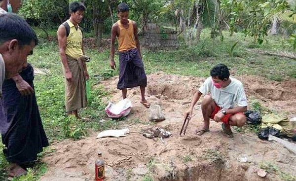 慎入！缅甸村庄现万只老鼠 村民恐为地震先兆（组图） - 2