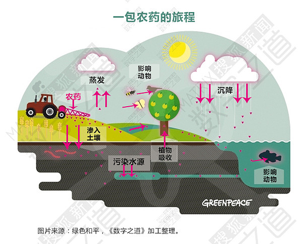 浸泡在农药里的中国人 全球一半农药用在中国（组图） - 4