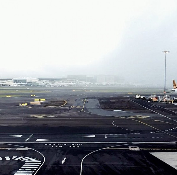 大雾迷城！悉尼大雾最严重区能见度不足100米！多航班被取消！ - 10