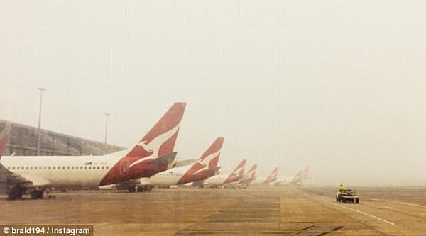 大雾迷城！悉尼大雾最严重区能见度不足100米！多航班被取消！ - 11