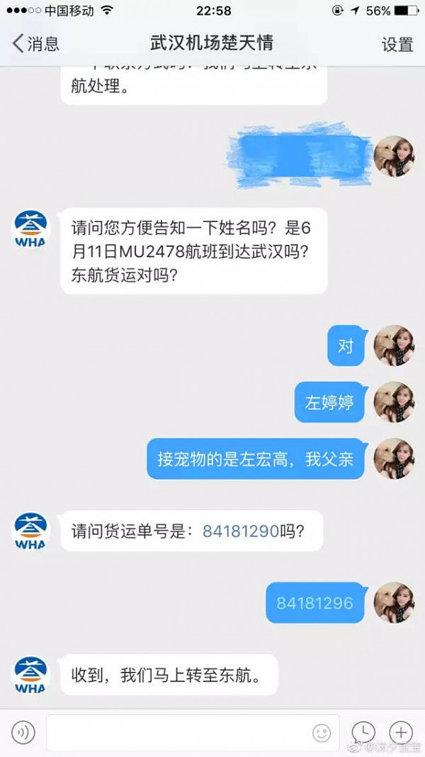 又是东航！网曝金毛托运途中死亡 钢丝笼都被咬破（图） - 10