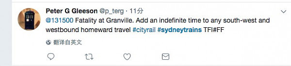 快讯：悉尼Granville疑有人跌落列车轨道死亡 Parrametta全线路列车晚点 - 4
