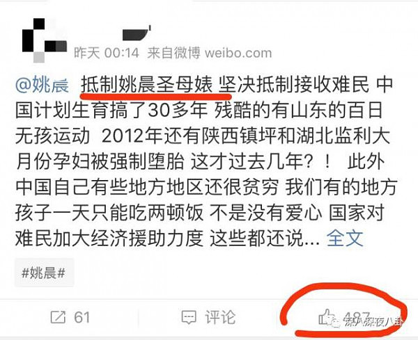 深扒！姚晨只是发了一条关于难民的微博 为啥都在骂她“圣母biao”？ - 10