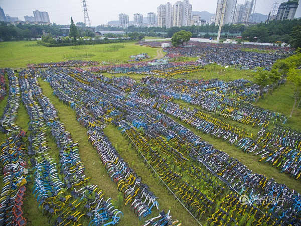 杭州上万辆共享单车被弃荒野 场面蔚为壮观（组图） - 3