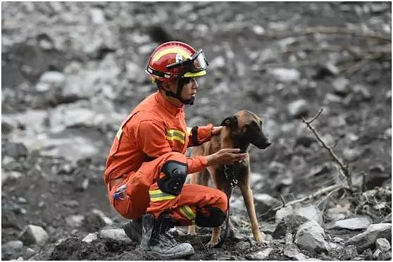 中国搜救犬累趴下，外国