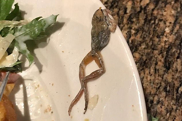 慎入！美国女子餐厅沙拉中吃出死青蛙  还要全额支付（组图） - 2