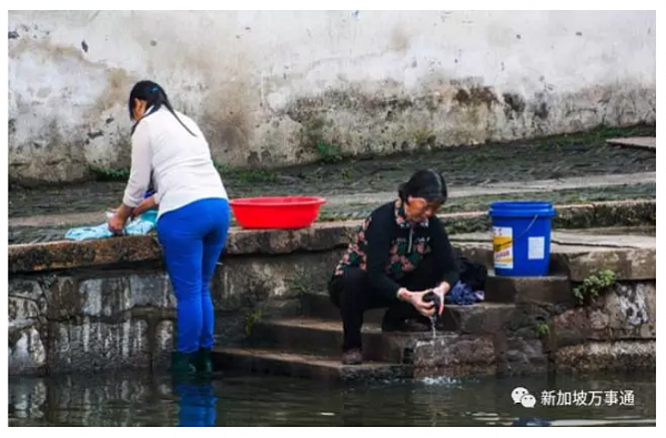 活久见！中国阿姨在新加坡河边打水洗衣服惊呆路人！引网友热议 - 6