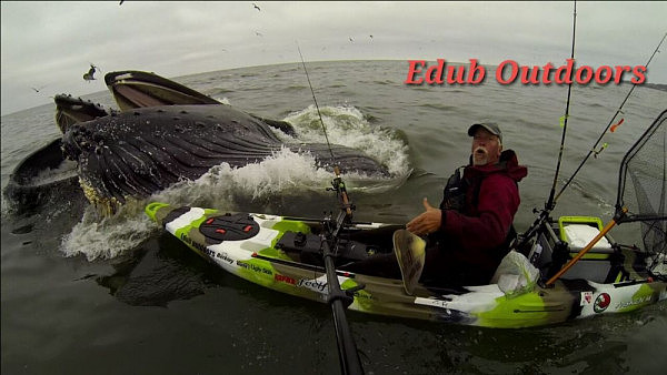 惊悚一刻！美国男子划皮艇偶遇两巨鲸 险被撞翻(视频) - 1