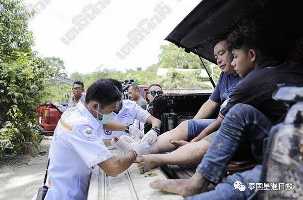 4名中国游客在泰国乘大象被甩下 受伤入院（组图） - 3