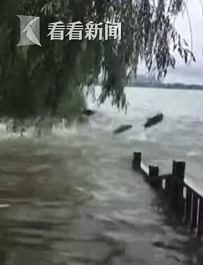 中国湘江水位猛涨惊现“飞鱼”奇观 鱼儿集体“飞出水面”“大闹湘江”（视频） - 3