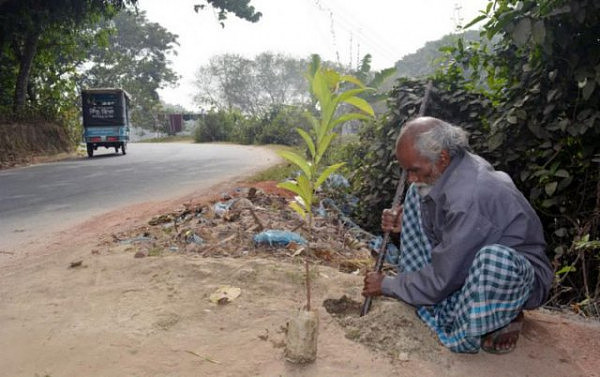 孟加拉一老人每天只赚 8 块钱 却坚持天天种一棵树（组图） - 1