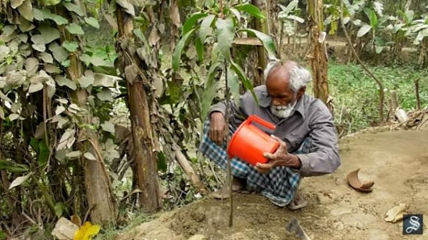 孟加拉一老人每天只赚 8 块钱 却坚持天天种一棵树（组图） - 4