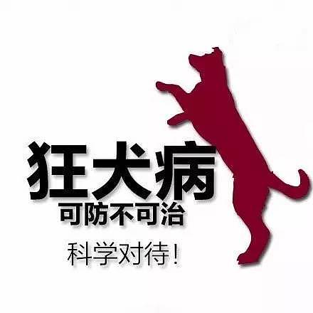 中国一老汉被家狗咬伤，发狂犬病身亡。更惊悚的是，有人竟把死狗挖走！（图） - 7