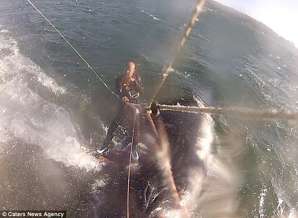 罕见！大海中的“车祸现场” 美国男子玩冲浪撞上座头鲸（视频） - 2