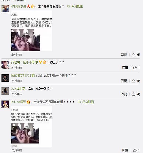 王思聪100万找狗？回应：好好上班不要做白日梦