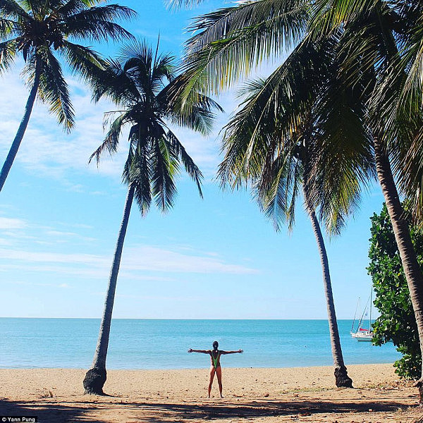 Mr Pung posed between these gigantic palm trees on Magnetic Island in Queensland to amaze his social media followers