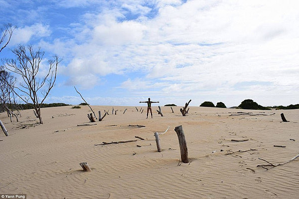 Henty Sand Dunes in Tasmania made for a great setting for another photo for his 2,107 Instagram followers to enjoy