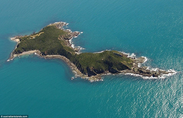 A tropical Queensland island (pictured) is up for sale and it could be yours now the price has been dropped from $850,000 to $495,000