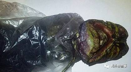 震惊！俄罗斯女子曾将外星人尸体放在冰箱2年（组图） - 2