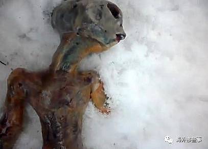 震惊！俄罗斯女子曾将外星人尸体放在冰箱2年（组图） - 5