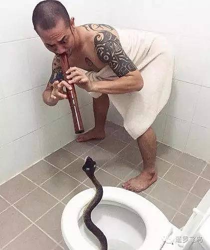 吓人！马桶里爬出蛇 泰国女子上厕所被咬伤屁股（组图） - 5