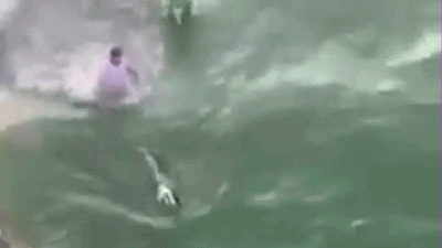 恐怖！男子徒手抓鲨鱼被反咬一口 鲜血染红海水（视频） - 2