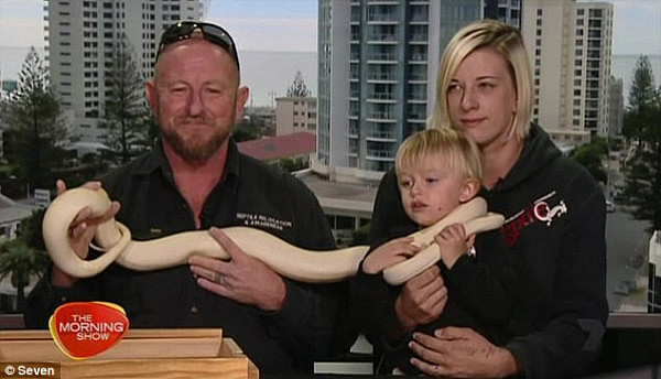 The parents (pictured) of Australia's youngest snake catcher have defended their decision to allow their son to wrestle hundreds of huge reptiles that dwarf the two-year-old