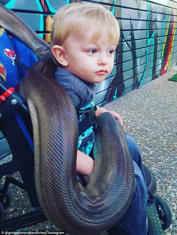 His parents revealed their son's love for the slithery creatures began at the tender age of one, after adopting the trade from his snake handling parents and quickly became obsessed