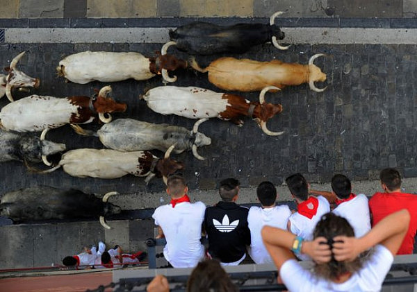 西班牙“奔牛节”上演年度“人牛大战”（图） - 6