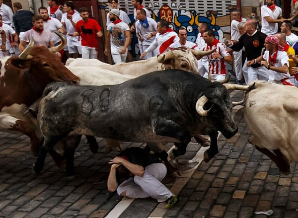 西班牙“奔牛节”上演年度“人牛大战”（图） - 7