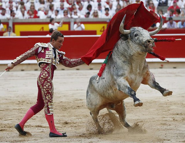 西班牙“奔牛节”上演年度“人牛大战”（图） - 9