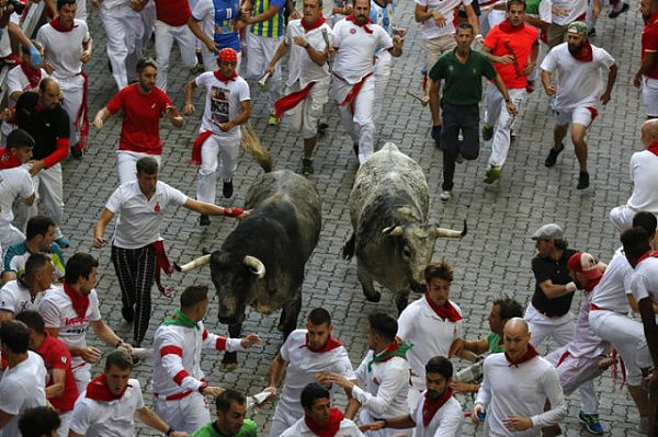 西班牙“奔牛节”上演年度“人牛大战”（图） - 11