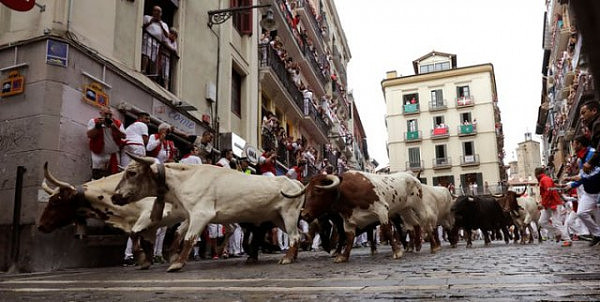 西班牙“奔牛节”上演年度“人牛大战”（图） - 14