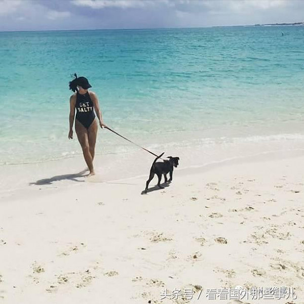 加勒比海神奇小岛，游客可以租借小狗陪玩