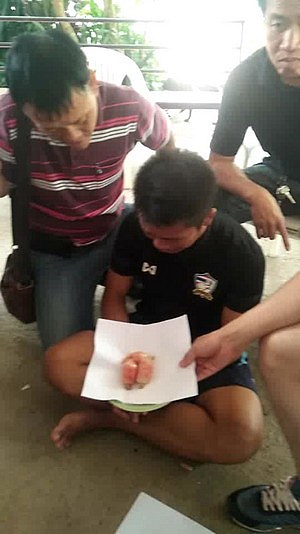 泰国毒贩逼两鸡吞1400粒冰毒 警方令其向鸡道歉（组图） - 2