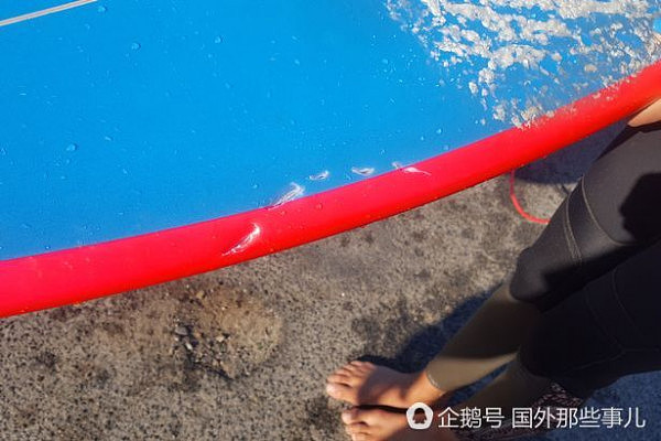 13岁女孩冲浪遭3米长鲨鱼攻击 冲浪板救她一命（组图） - 3