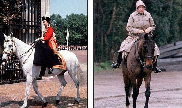 91岁英国女王骑马放松，仍不戴头盔戴丝巾（组图） - 4